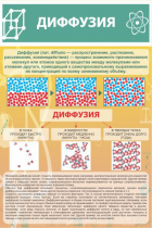 Стенд "Диффузия" - «globural.ru» - Воронеж