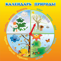 Стенд "Календарь природы" 0.5x0.5 - «globural.ru» - Воронеж
