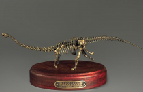 Модель скелета динозавра Diplodocus (вариант 1) - «globural.ru» - Воронеж