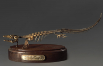 Модель скелета мозазавра Mosasaurus - «globural.ru» - Воронеж