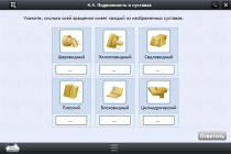 Интерактивные курсы. Биология 8 класс. Расширенный - «globural.ru» - Воронеж