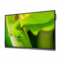 Интерактивный программно-аппаратный комплекс Geckotouch Interactive IP75GT-C в комплекте с настенным креплением - «globural.ru» - Воронеж
