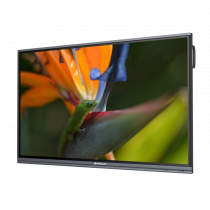 Интерактивный программно-аппаратный комплекс Geckotouch Interactive Pro IP75HT-E в комплекте с настенным креплением - «globural.ru» - Воронеж