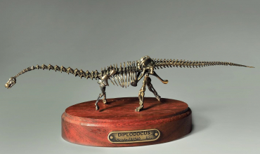 Модель скелета динозавра Diplodocus  (вариант 2) - «globural.ru» - Воронеж