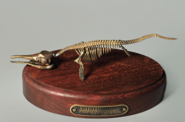 Модель скелета ихтиозавра Ichthyosaurus - «globural.ru» - Воронеж