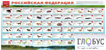 Стенд "Красная книга РФ" - «globural.ru» - Воронеж