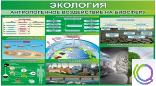 Стенд "Экология. Антропогенное воздействие на биосферу" - «globural.ru» - Воронеж