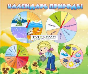 Стенд "Календарь природы" (вариант 1) - «globural.ru» - Воронеж