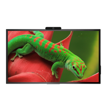 Интерактивная панель Geckotouch Interactive 65R - «globural.ru» - Воронеж