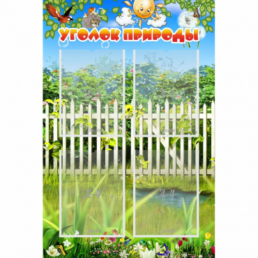 Стенд "Уголок природы" с 4 карманами - «globural.ru» - Воронеж