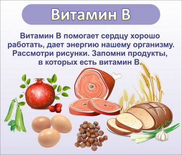 Стенд "Витамин В" - «globural.ru» - Воронеж