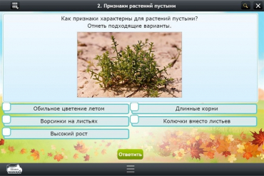 Интерактивные курсы. Окружающий мир 3 класс. Базовый - «globural.ru» - Воронеж