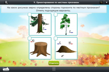 Интерактивные курсы. Окружающий мир 1 класс. Базовый - «globural.ru» - Воронеж
