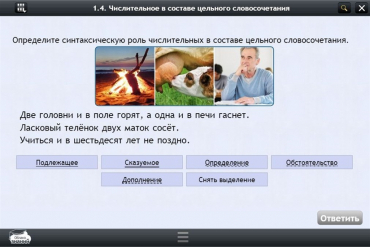 Интерактивные курсы. Русский язык 6 класс. Базовый - «globural.ru» - Воронеж