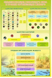 Стенд "Классификация животного мира" - «globural.ru» - Воронеж